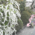 突然の京都旅行(with世界樹)
